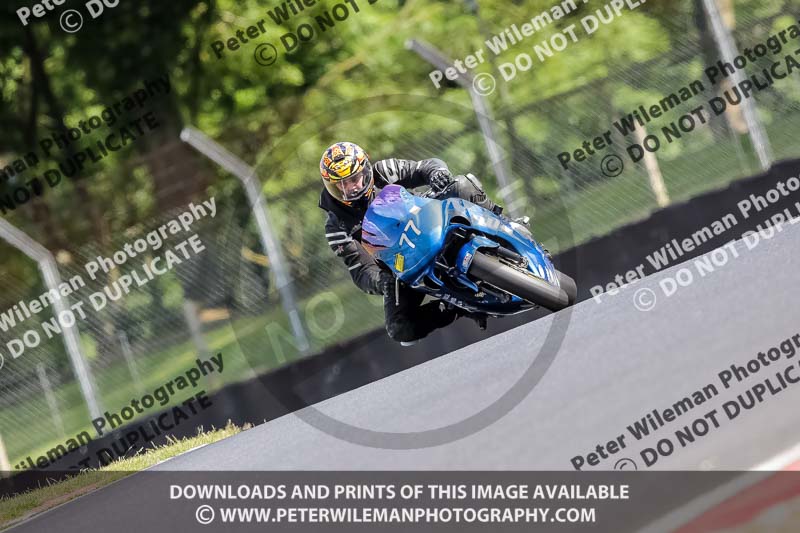 brands hatch photographs;brands no limits trackday;cadwell trackday photographs;enduro digital images;event digital images;eventdigitalimages;no limits trackdays;peter wileman photography;racing digital images;trackday digital images;trackday photos